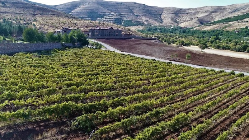 Sivrice geleneksel bağları